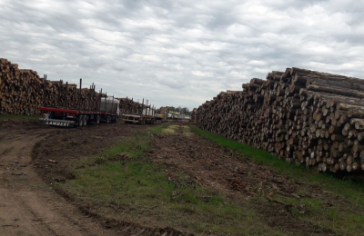 Coronavirus: frenan exportaciones de rollos de madera desde Corrientes a China