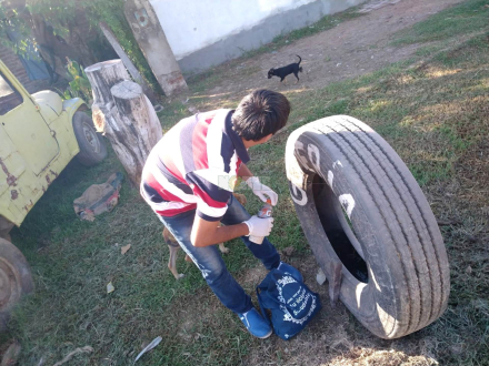 58control de vectores marzo.jpeg