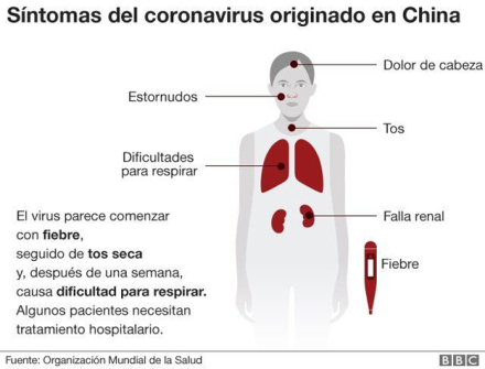 sintomas-coronavirus.jpg