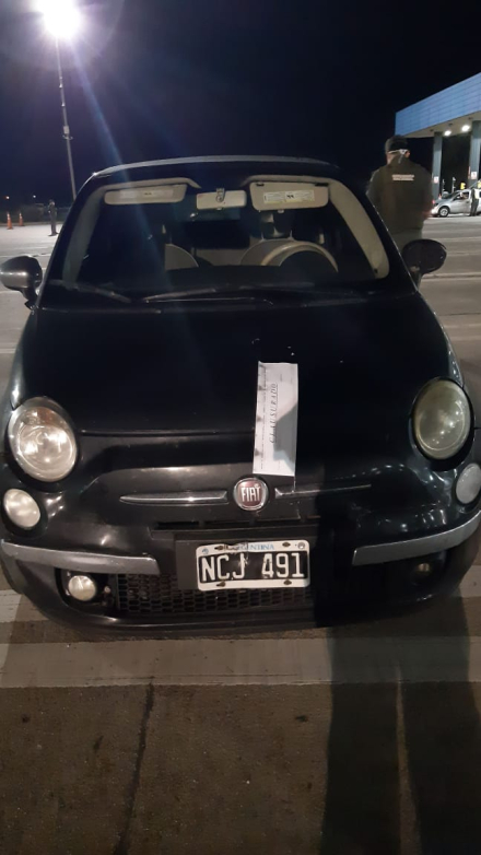 cani2.jpg