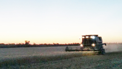 Al pie del cañón, el campo no baja los brazos