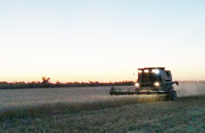 Al pie del cañón, el campo no baja los brazos