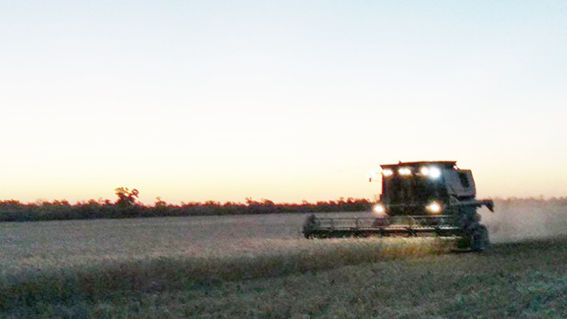 Al pie del cañón, el campo no baja los brazos
