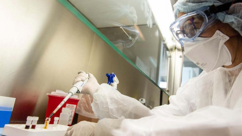 Investigadores del Malbrán descubrieron el genoma completo del coronavirus Covid-19