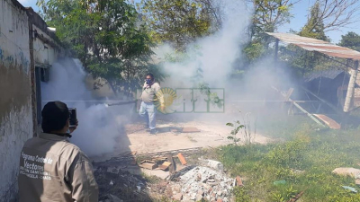 Se confirmaron 1451 casos de dengue en el Chaco: reiteran medidas de prevención