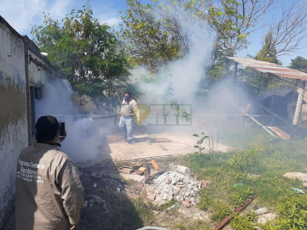 Fumigacion por los casos de Dengue.jpg