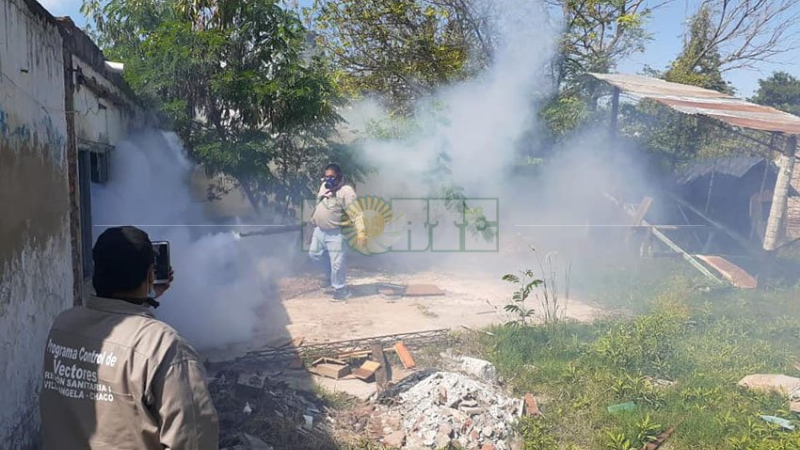 Se confirmaron 1451 casos de dengue en el Chaco: reiteran medidas de prevención
