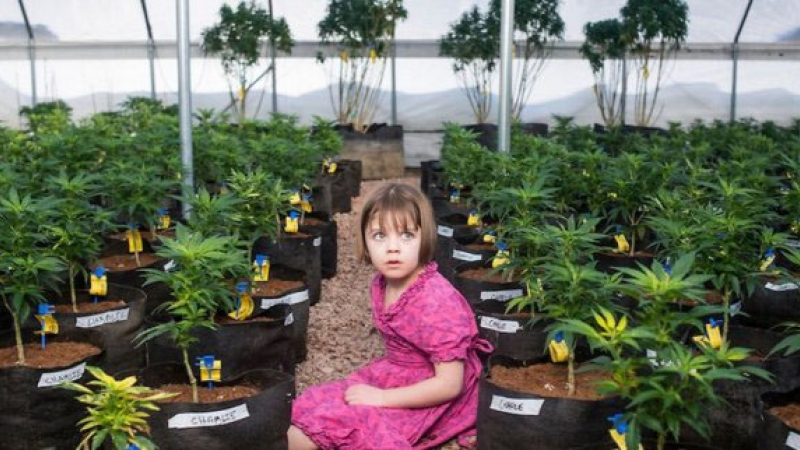 A los 13 años, murió de coronavirus la niña que inspiró el aceite de cannabis ‘Charlotte‘