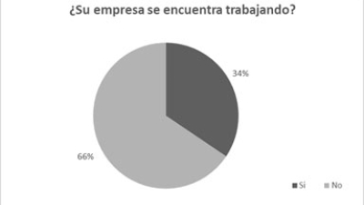 Chaco: 66% de la actividad frenada y pocas empresas accedieron a ayuda financiera