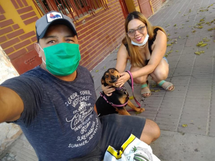 perrita-varada.jpg