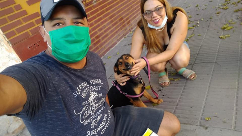 La perrita que había quedado varada en Salta ya está con su dueña