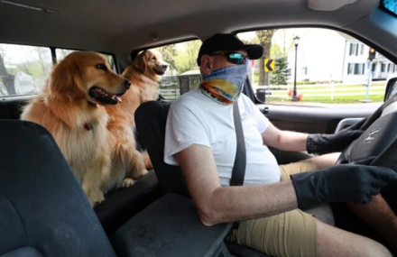 perros-cerveceros-3-640x415.jpg