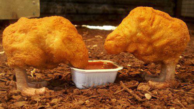 Nuggets y murciélagos: cómo cocinamos las pandemias de hoy