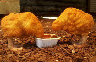 Nuggets y murciélagos: cómo cocinamos las pandemias de hoy