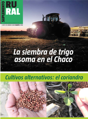 La siembra de trigo asoma en el Chaco