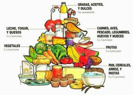 alimentacion2.jpg