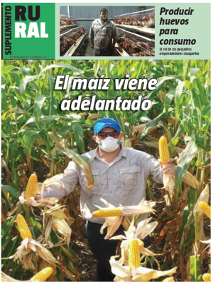 El maíz viene adelantado