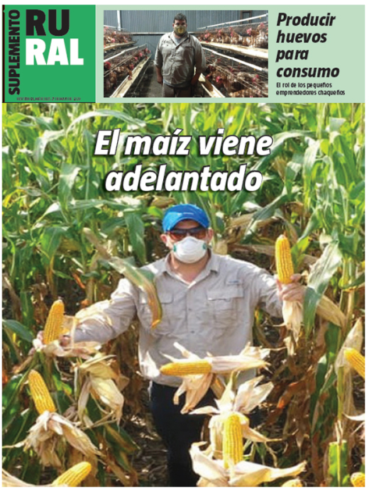 El maíz viene adelantado