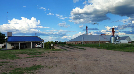 pampa.jpg