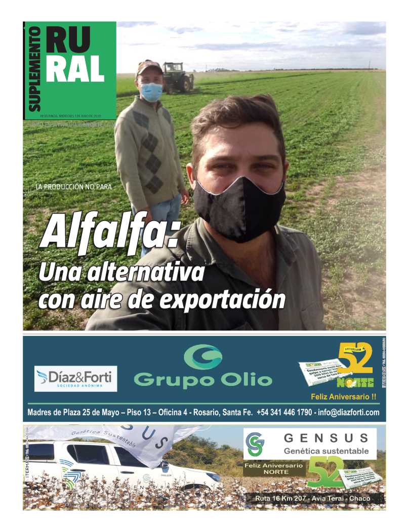 Alfalfa: Una alternativa con aire de exportación