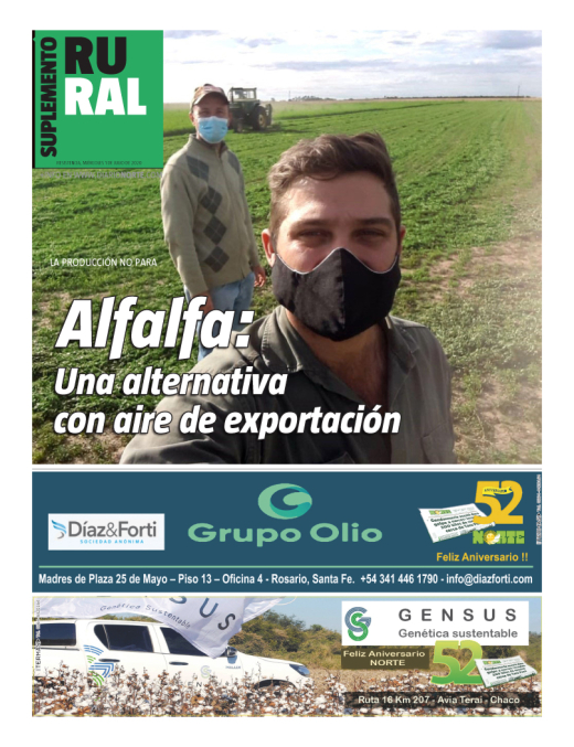 Alfalfa: Una alternativa con aire de exportación