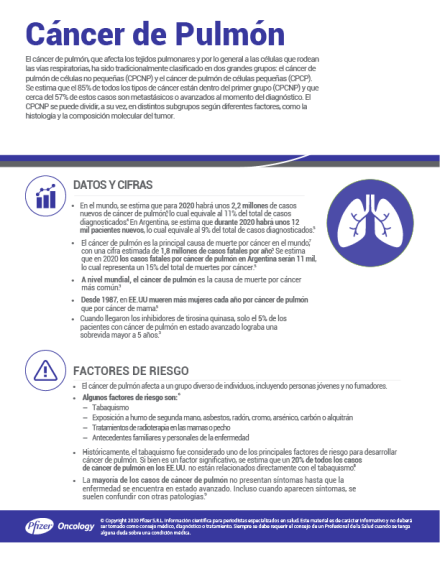 infografa-cncer-de-pulmn-1.png