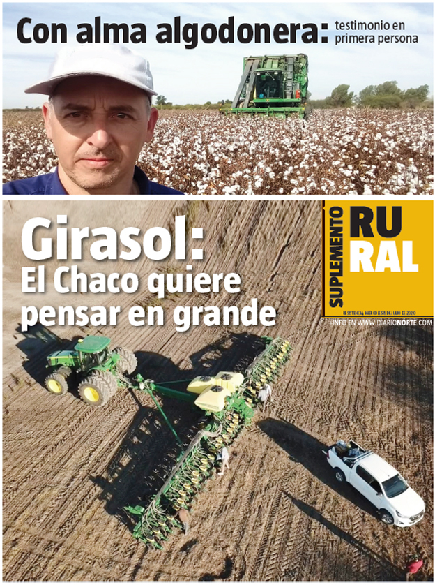 Girasol: El Chaco quiere pensar en grande