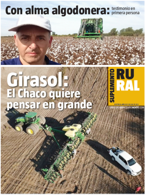 Girasol: El Chaco quiere pensar en grande