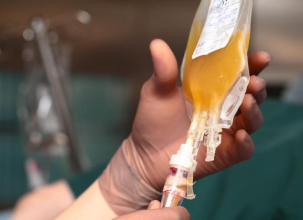 plasma.jpg copy