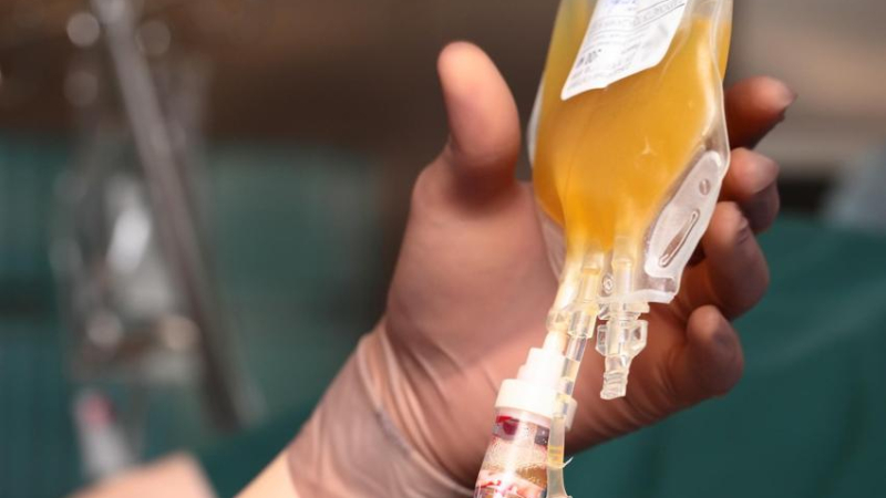 Donaron 80 unidades de plasma, hubo 27 tratados y 22 recuperados