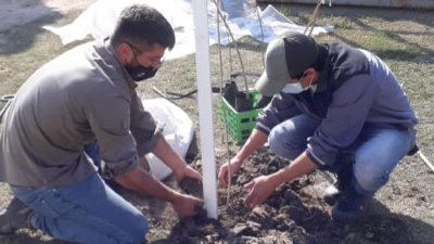 La comuna de Barranqueras continúa embelleciendo espacios verdes