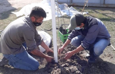 La comuna de Barranqueras continúa embelleciendo espacios verdes