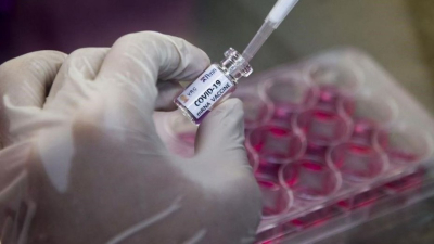 La OMS anunció que hay seis vacunas contra el coronavirus en fase avanzada