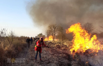 incendio Los Frentones (2).jpg