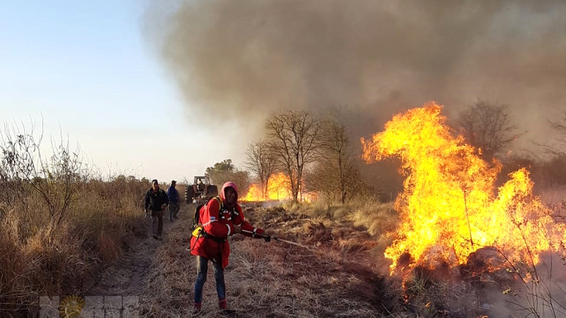 Forestales sostienen que la gestión del fuego necesita una atención especial