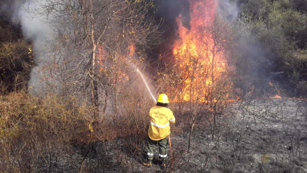 incendio.jpg