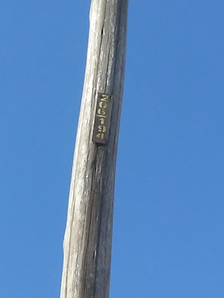 4.jpeg