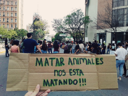 Chaco Animal Save.jpg