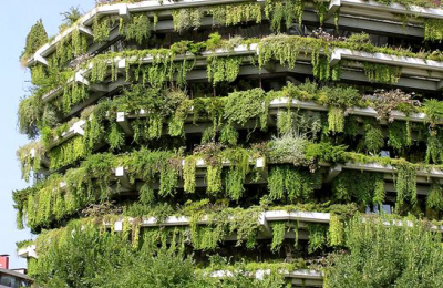 La tendencia de la semana: arquitectura vegetal