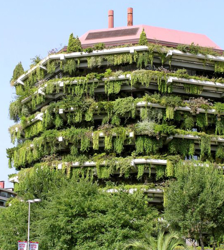 vegetal4.jpg