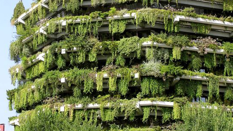 La tendencia de la semana: arquitectura vegetal
