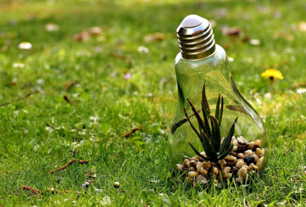 naturaleza.jfif