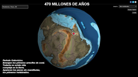 470.jpg