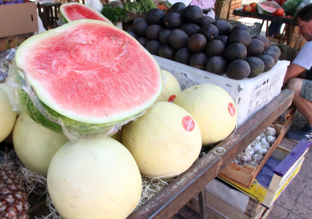 frutas2.jpg