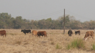 Sequía: piden la declaración de desastre agropecuario