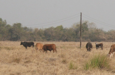 Sequía: piden la declaración de desastre agropecuario