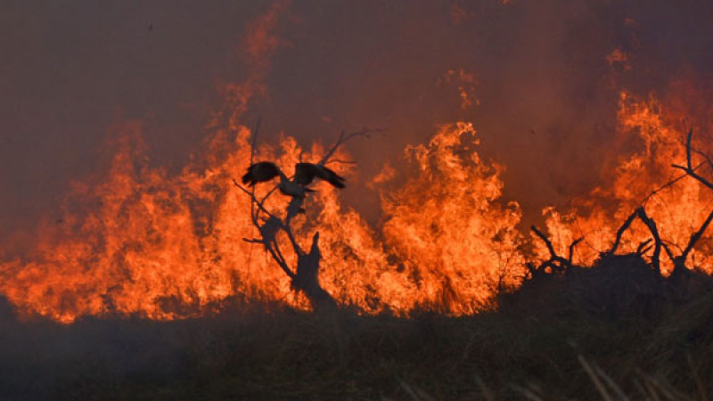 Impresionante incendio en zona norte de Resistencia