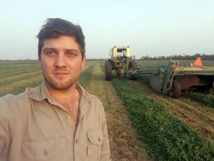German-sanko-alfalfa.jpg