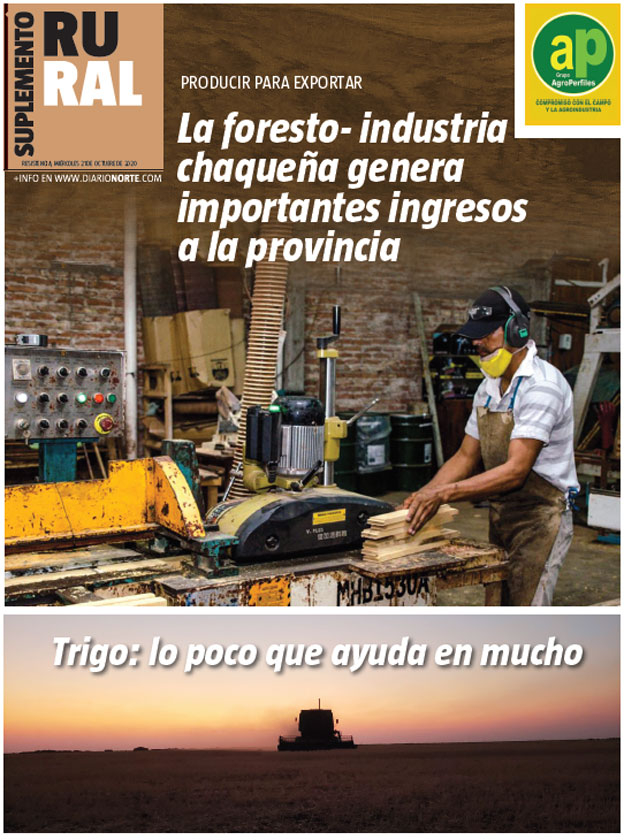 La foresto- industria chaqueña genera importantes ingresos a la provincia
