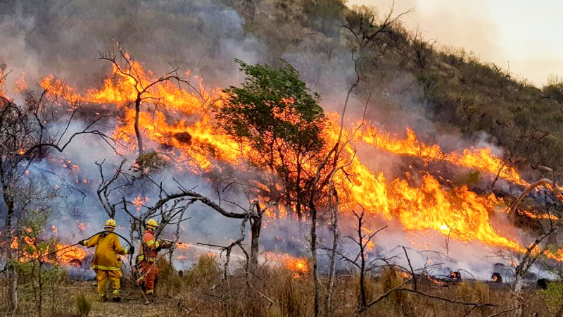 Discuten proyecto para proteger terrenos de incendios intencionales